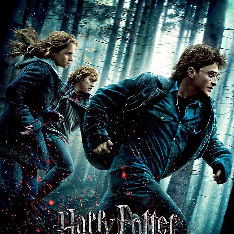 Comemore os 9 anos de Harry Potter e as Relíquias da Morte 