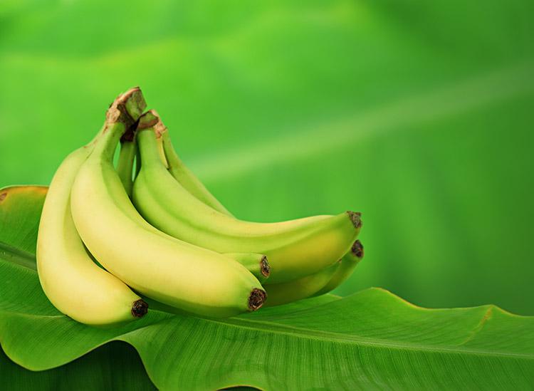 5 motivos para adicionar a banana verde na dieta 