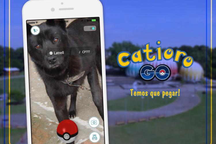 Prefeitura cria “Catioro Go!” para estimular adoção de cães 