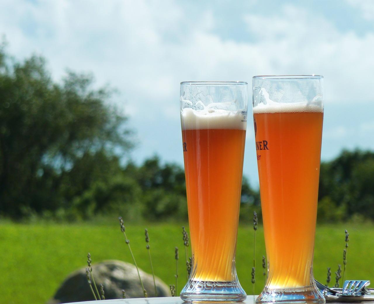 Cerveja de trigo: Qual a diferença entre weissbier e witbier? 