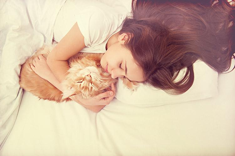 Perfis de gatinhos fofos para seguir no Instagram 
