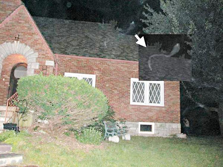 Meramec Manor: conheça o mistério da casa localizada no Missouri 