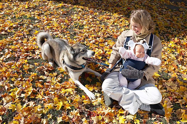 Cachorros e bebês: mitos e verdades sobre essa relação! 