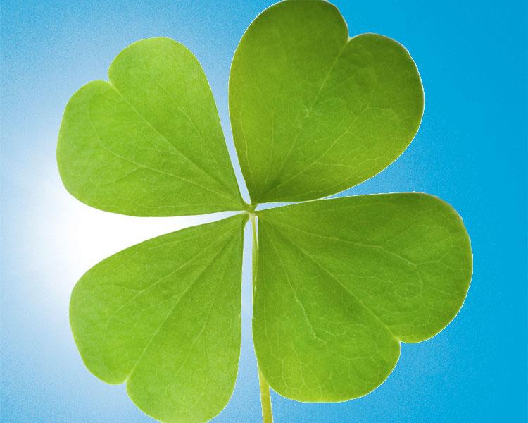 5 rituais de fé poderosos para atrair sorte 