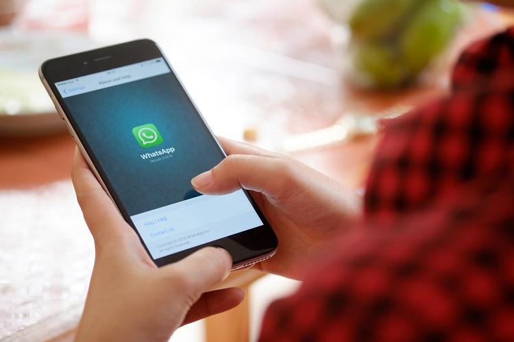 WhatsApp ganha atualização que permite procurar GIFs 