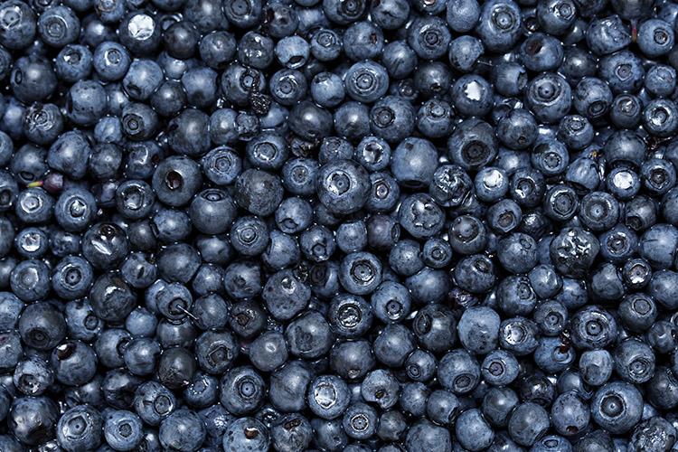 Conheça os benefícios do mirtilo, também conhecido blueberry 