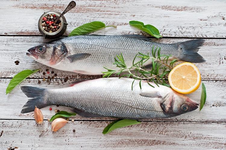Conheça 5 motivos para incluir mais peixe em seu cardápio! 