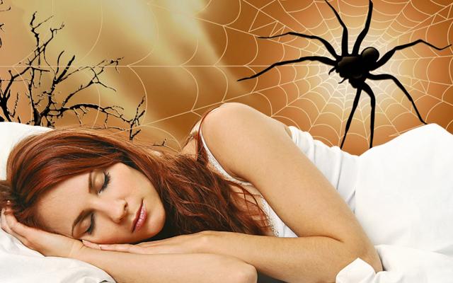 O que significa sonhar com aranha? Confira a interpretação desse sonho 