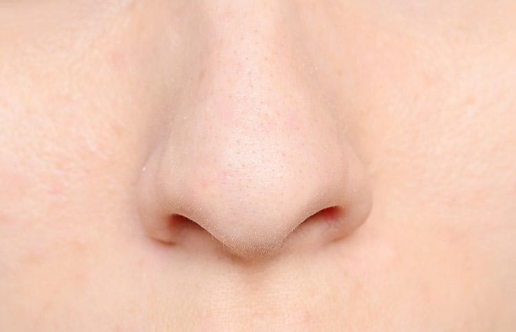 Você sabia que a forma do nariz evoluiu para se adaptar aos climas da terra? 