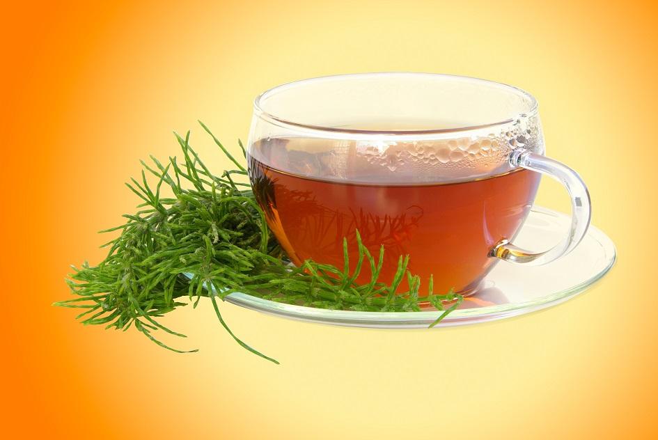 7 benefícios do chá de cavalinha para a saúde 