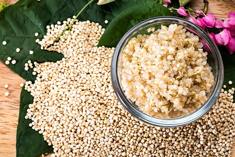 Confira 3 receitas deliciosas com quinoa e veja o que grão faz pela sua saúde! 