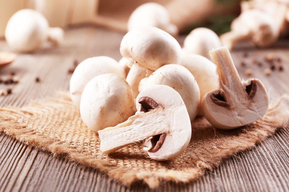 Conheça alguns cogumelos comestíveis e saiba como diferenciá-los 