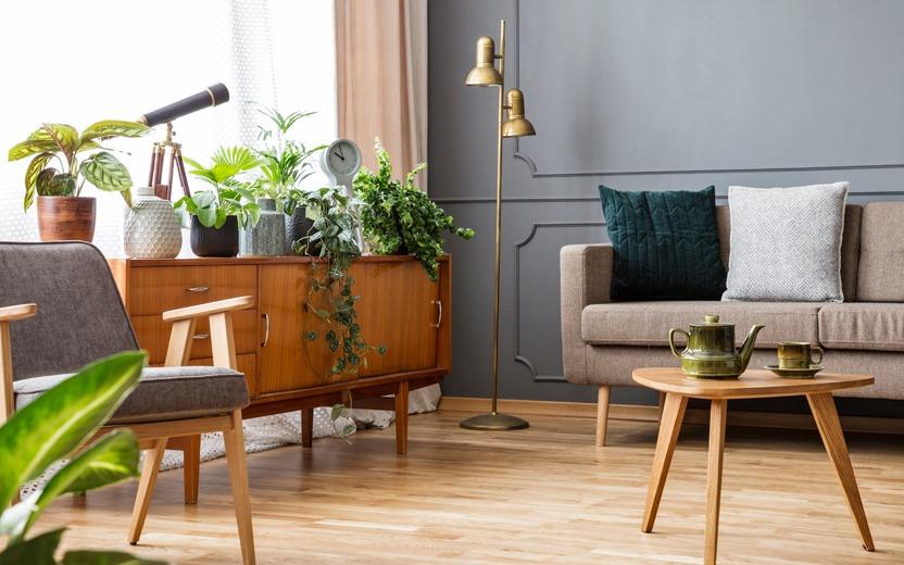 7 plantas que são perfeitas para decorar a sua sala de estar 