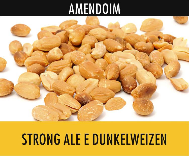 Amendoim harmoniza com strong ale e dunkelweizen petiscos deliciosos