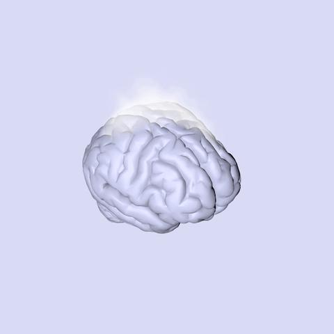 cérebro humano 