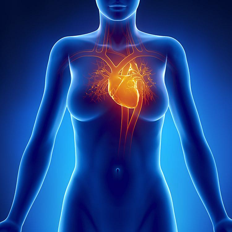 A saúde do coração pode ser beneficiada com medidas simples, como perdoar e se alimentar bem