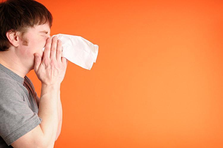 Espirros e nariz escorrendo podem ser sintomas da presença de ácaros