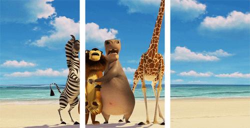 Melman em Madagascar exemplo de como girafas são retratadas como animais fofos