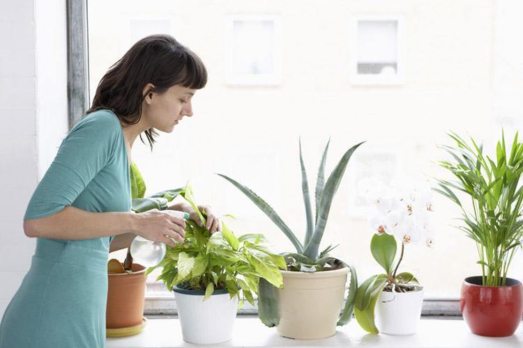mulher cuidando de várias plantas e ervas em casa