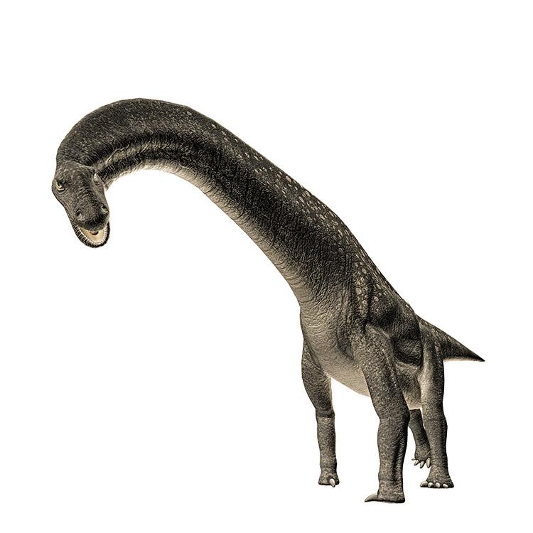 Dinossauros gigantes