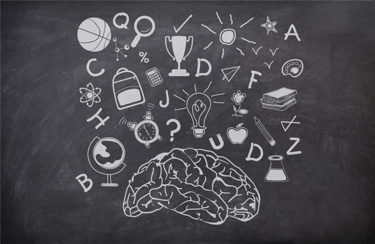 cérebro - concentração - foco - raciocínio - atenção