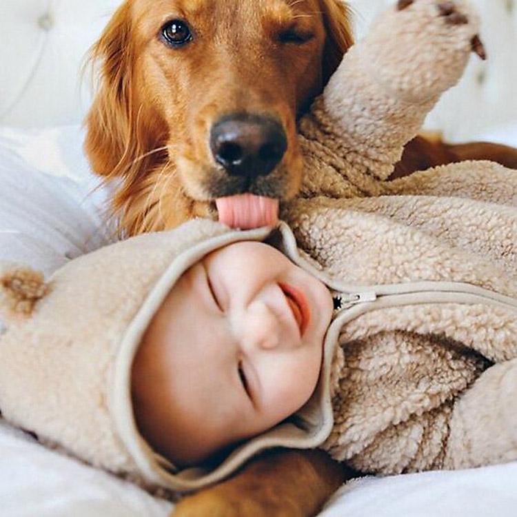 Cachorro lambendo rosto de bebê sorridente