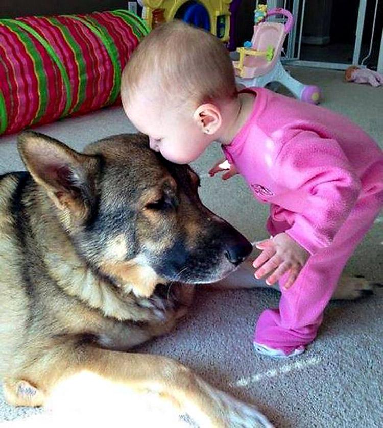 Bebê beijando cachorro