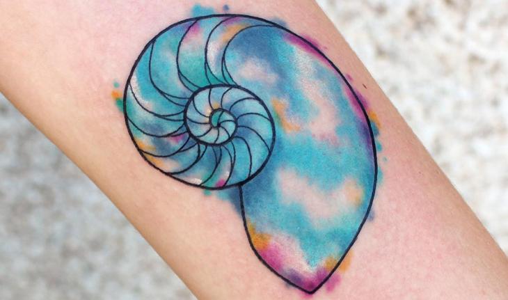 tatuagem aquarela de concha