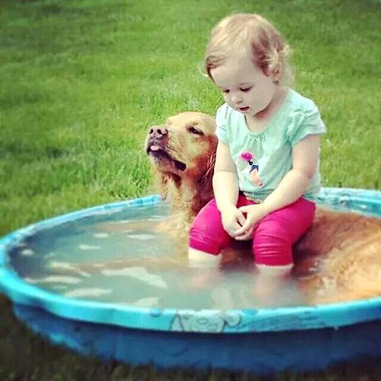 Criança brincando com cachorro na piscina