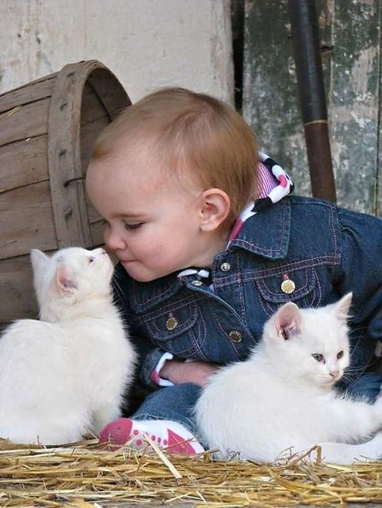 Bebê posando com gatinhos