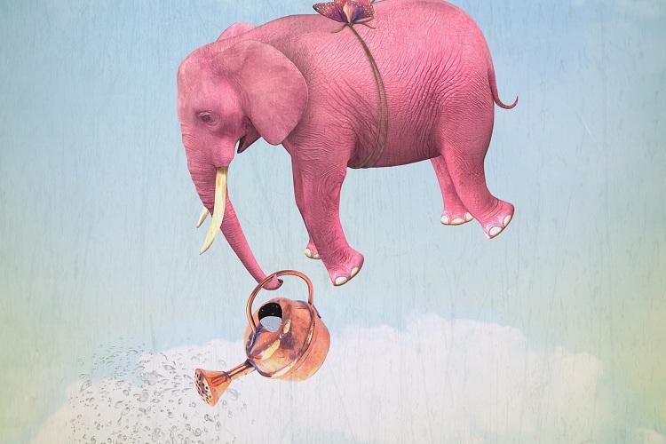 sonhos-elefante-rosa-voador-segurando-regador