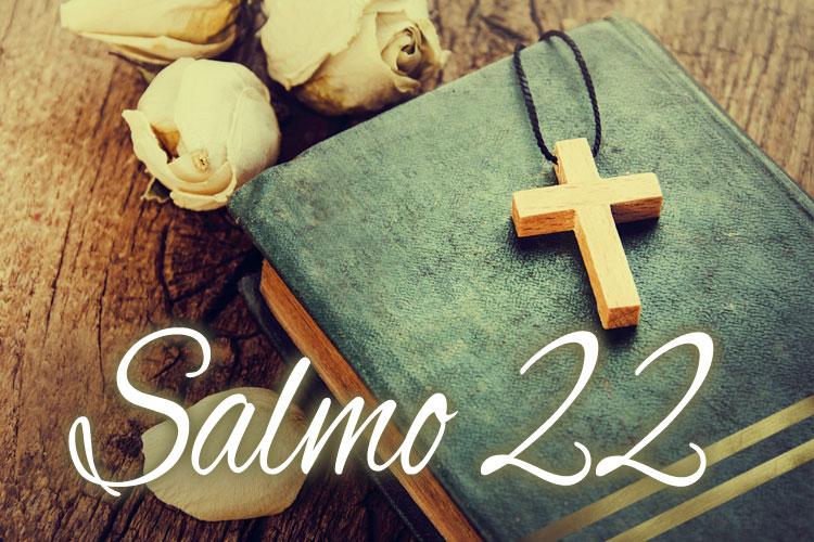 Salmo 22, biblia, cruz e rosas