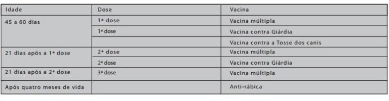 tabela vacinação filhote de cachorro