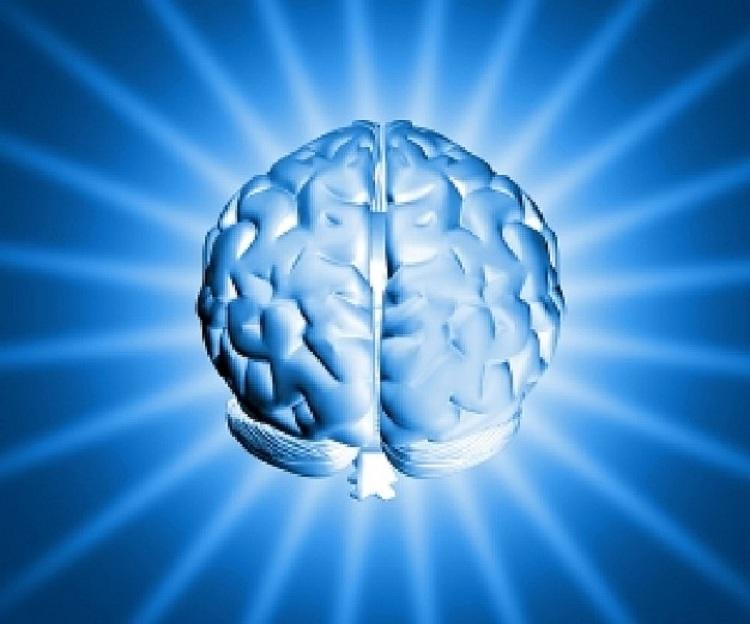 Cérebro humano, fundo azul, memória, prazo