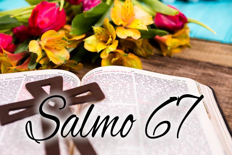 salmo 67, cruz, bíblia e flores