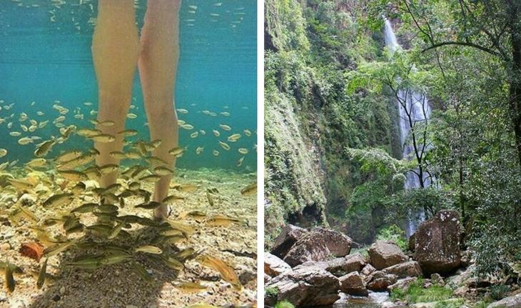fotos da cachoeira segredo e de pernas femininas dentro da água cercada por peixes