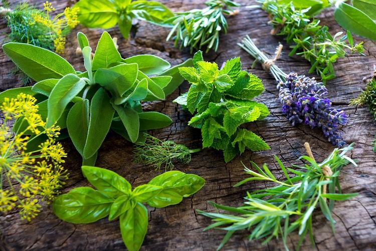 as ervas e especiarias garantem sabor e muitos benefícios à rotina
