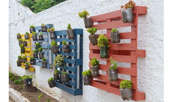 Na foto há jardins verticais feitos com paletes que estão pintadas de azul e vermelho. Os vasos são o fundo de garrafas pets e há verduras e outras plantas plantadas neles.