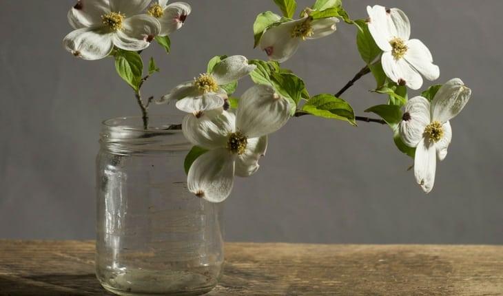 Vaso transparente com flores brancas
