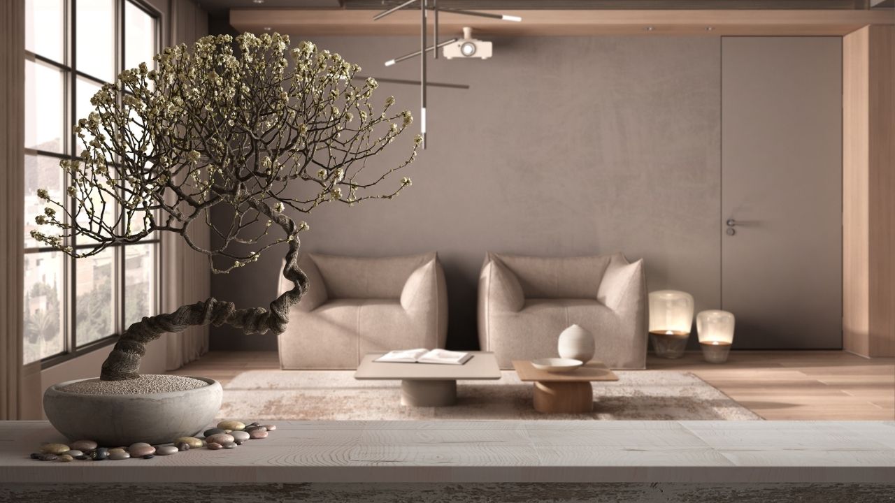 Feng Shui: saiba como aplicar nos ambientes de sua casa