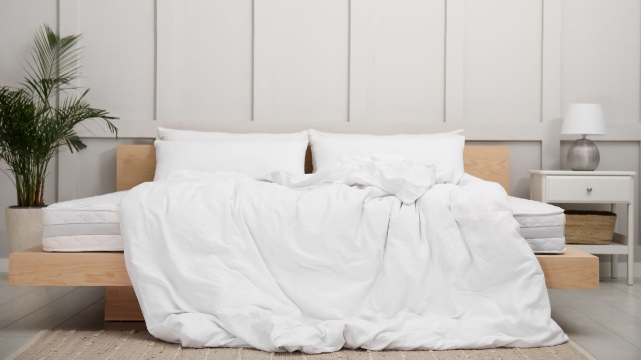 Descubra agora se é o cobertor ou o edredom que podem te proporcionar noites tranquilas e sem crises alérgicas no inverno