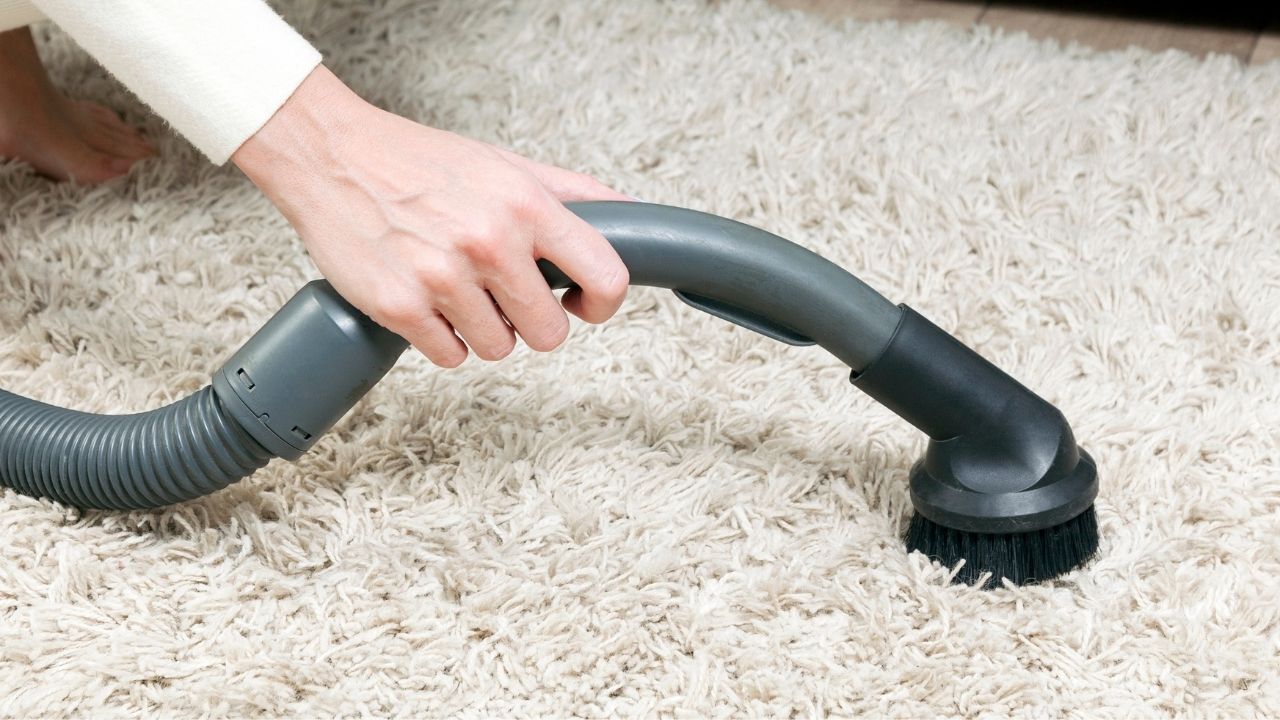 Tapetes e carpetes: aprenda a como limpar