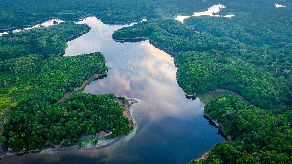 Preservar a floresta Amazônica também é uma questão econômica