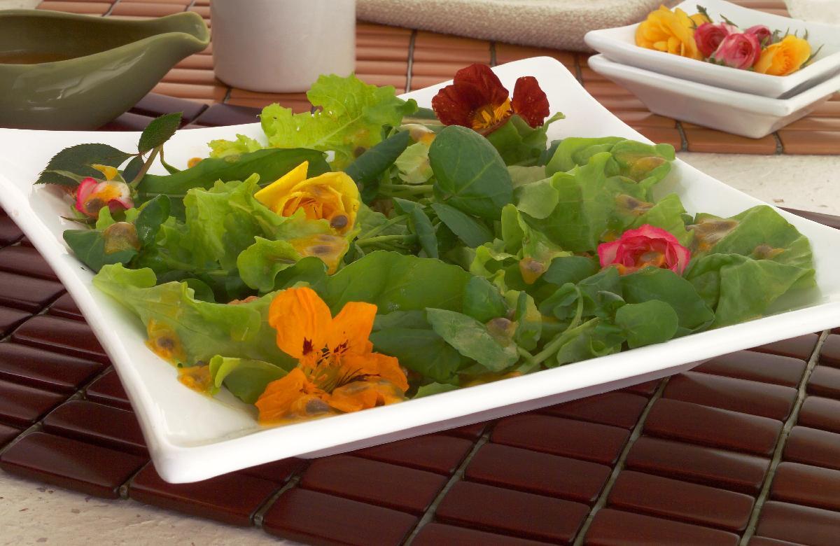 Salada de flores e nozes 