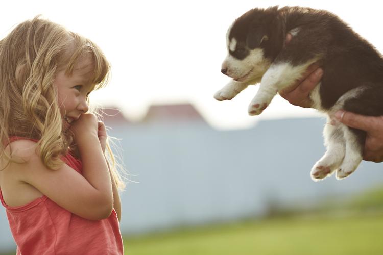 10 motivos para adotar (ao invés de comprar) um animalzinho de estimação 