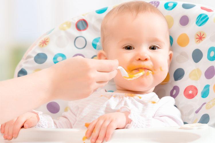 Como introduzir as primeiras papinhas na alimentação do bebê a partir dos 6 meses de idade. Confira dicas práticas de como habituar os pequenos!