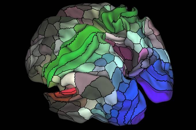 Mapa revela 97 novas áreas do cérebro 