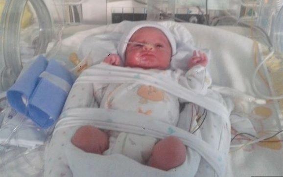 Bebê-milagre: Lourenço nasce quatro meses após morte cerebral da mãe 