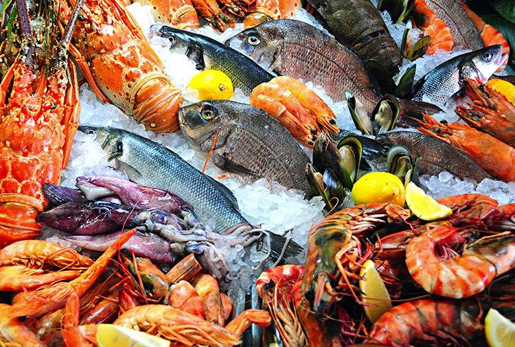 Combata o Alzheimer com peixes e frutos do mar 