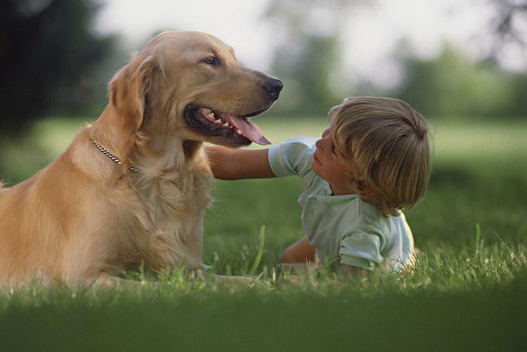 Ter um cachorro melhora a vida de crianças com autismo 